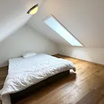 Pet Friendly In *