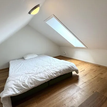 Pet Friendly In *